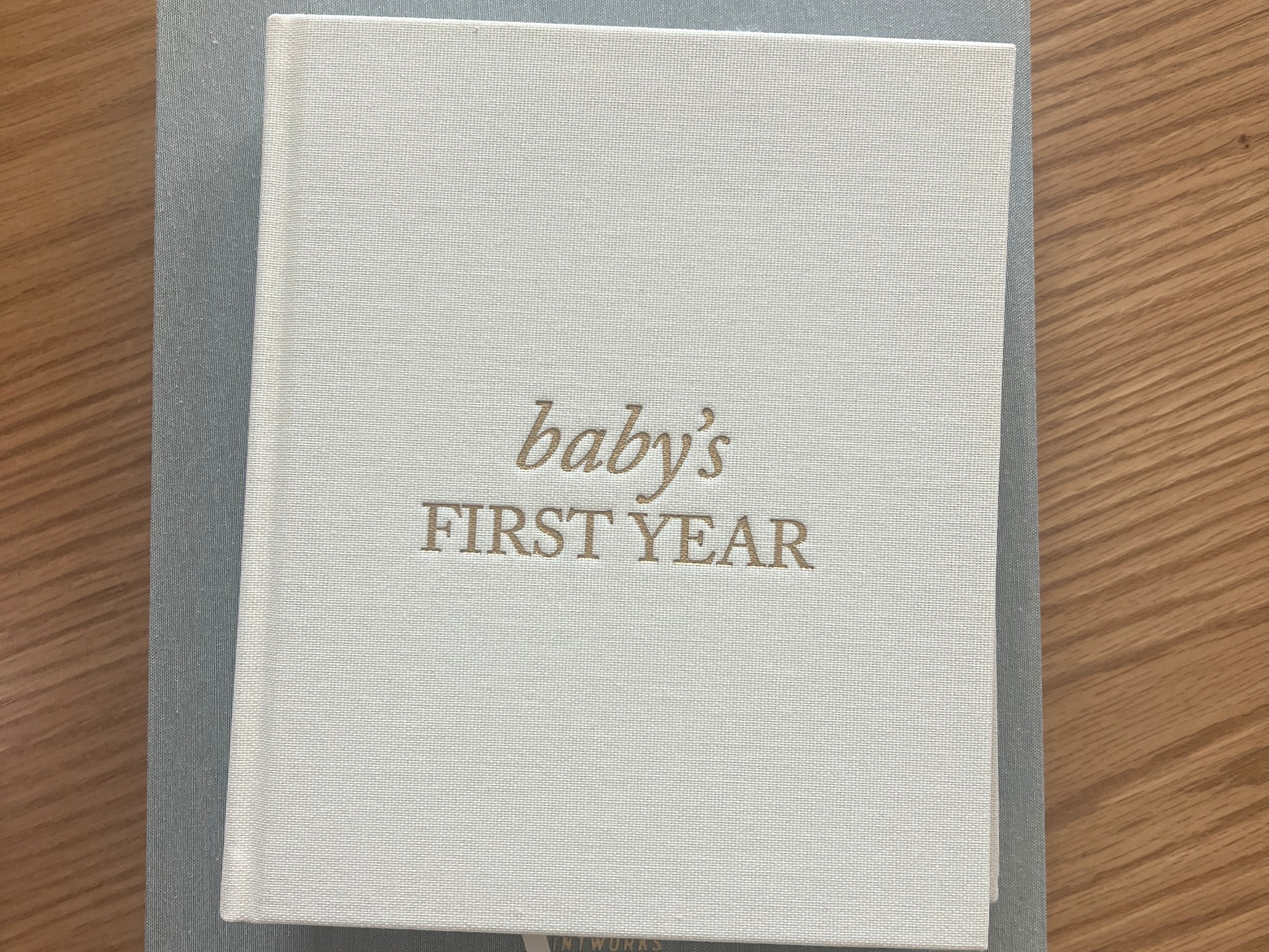 Baby’s first year journal 