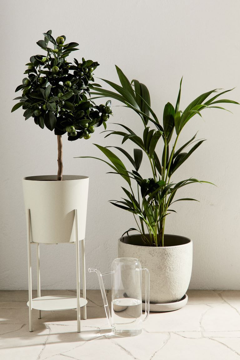 Large Terracotta Plant Pot & Saucer | H&M (US + CA)