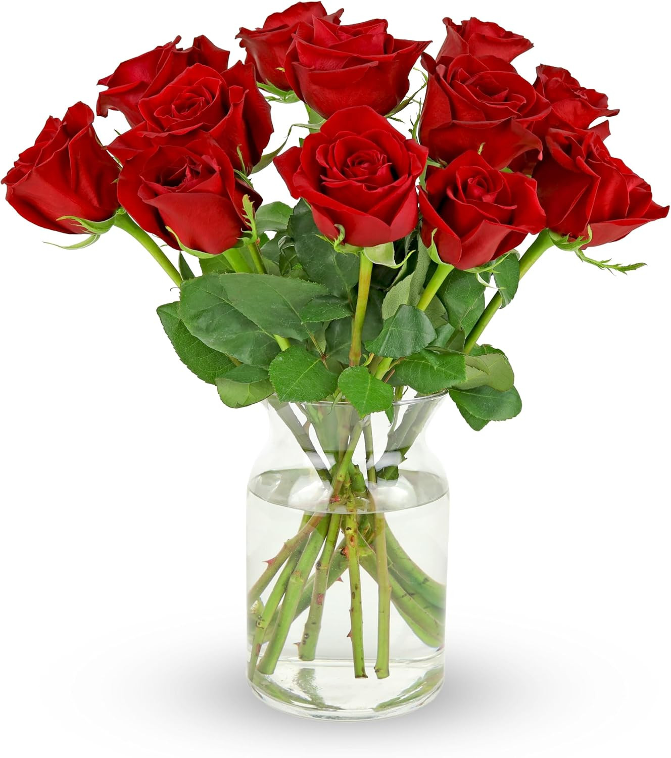 Benchmark Bouquets - 12 Stem Premium Red Roses (Glass Vase Included) - Fresh Flowers for Next Day... | Amazon (US)
