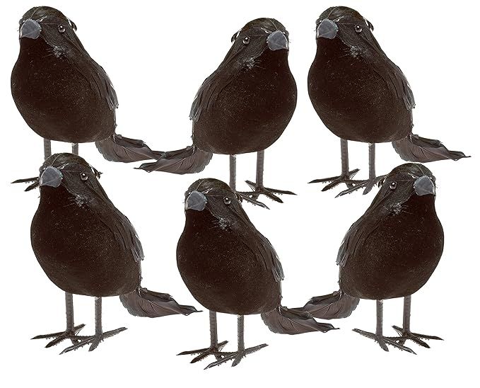 Prextex Halloween Black Feathered Small Crows – 6 Pc Black Birds Ravens Props Décor Halloween ... | Amazon (US)