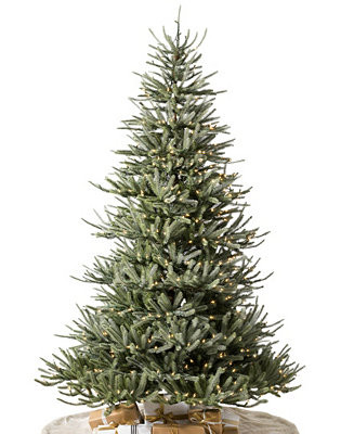 Balsam Hill 6 ft Pre-Lit Sanibel Spruce Tree - Macy's | Macy's