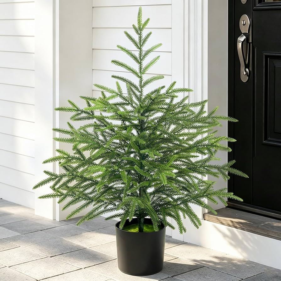 2 Ft Real Touch Christmas Tree with Lights, Realistic Norfolk Pine Tree | Amazon (US)