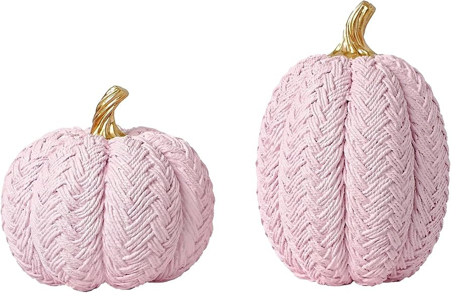 2pcs Pink Fall Pumpkins, Small Resin Braided Pumpkins Autumn Table Decor | Amazon (US)