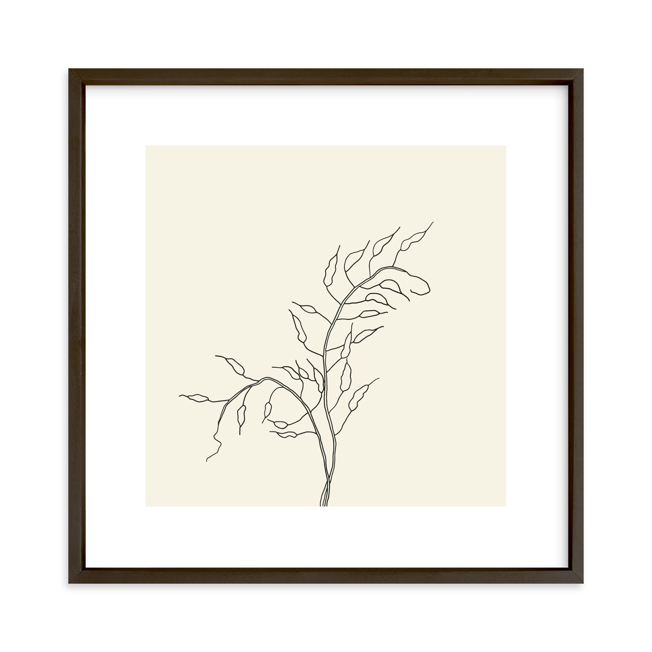 "Wild Radish" - Drawing Limited Edition Art Print by Jorey Hurley. | Minted
