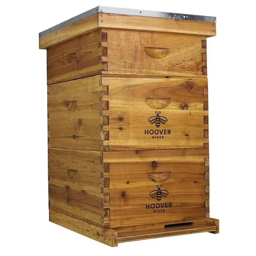 Hoover Hives: The Original Beeswax Coated Beehive Kit. Includes 2 Deep & 1 Medium Boxes with 10 W... | Amazon (US)
