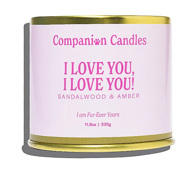 Companion Candles 12 oz Everyday Candles | QVC
