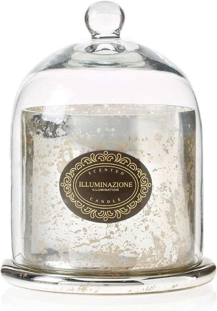 Zodax Mercury Glass Candle with Dome Glass Cover Medium Antique Silver French Red Currant | Amazon (US)