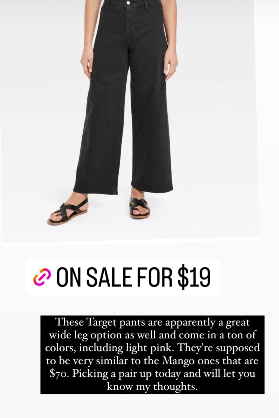 Target wide leg pant  