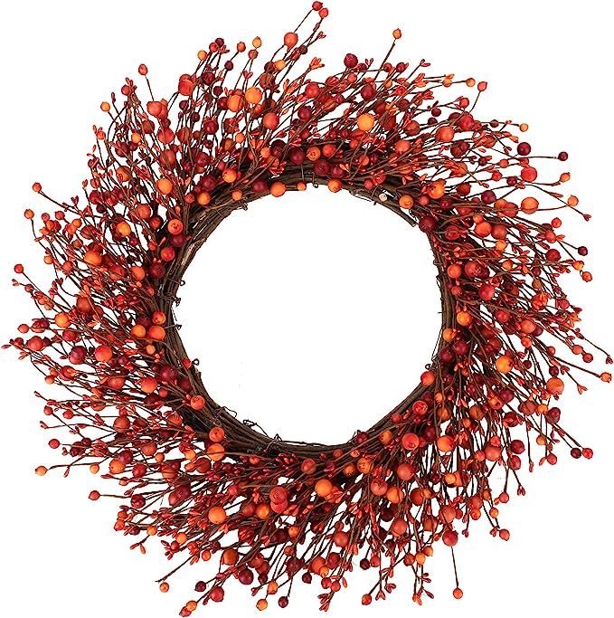 Fall Berry Wreath,24 inches Wreath with Mixed Berries for Indoor Outdoor Decor | Amazon (US)