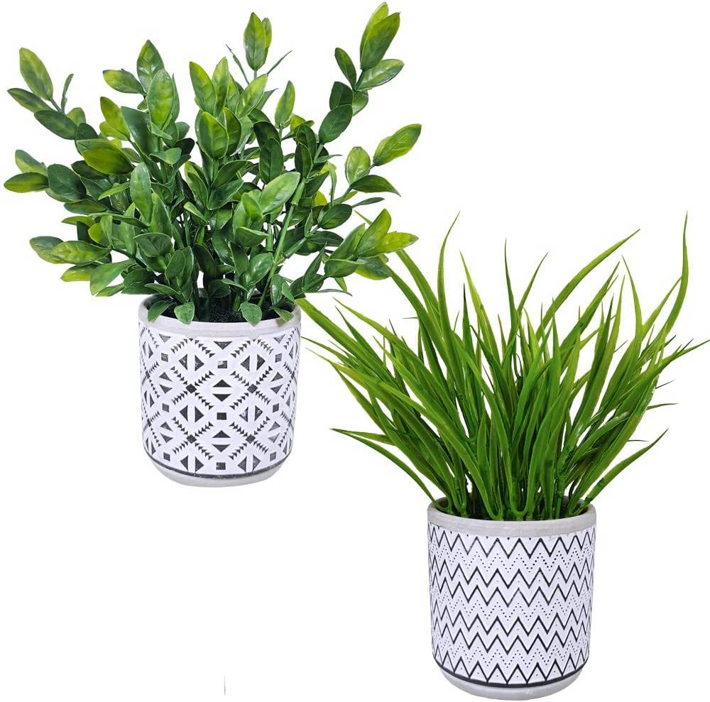 Winlyn Set of 2 Artificial Potted Plants Potted Eucalyptus Plant Artificial Grass in Modern Concr... | Amazon (US)