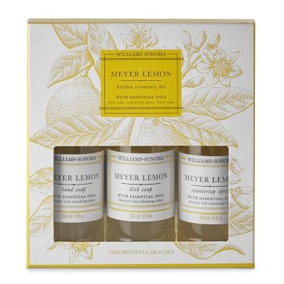 Williams Sonoma Meyer Lemon Kitchen Essentials Kit | Williams-Sonoma