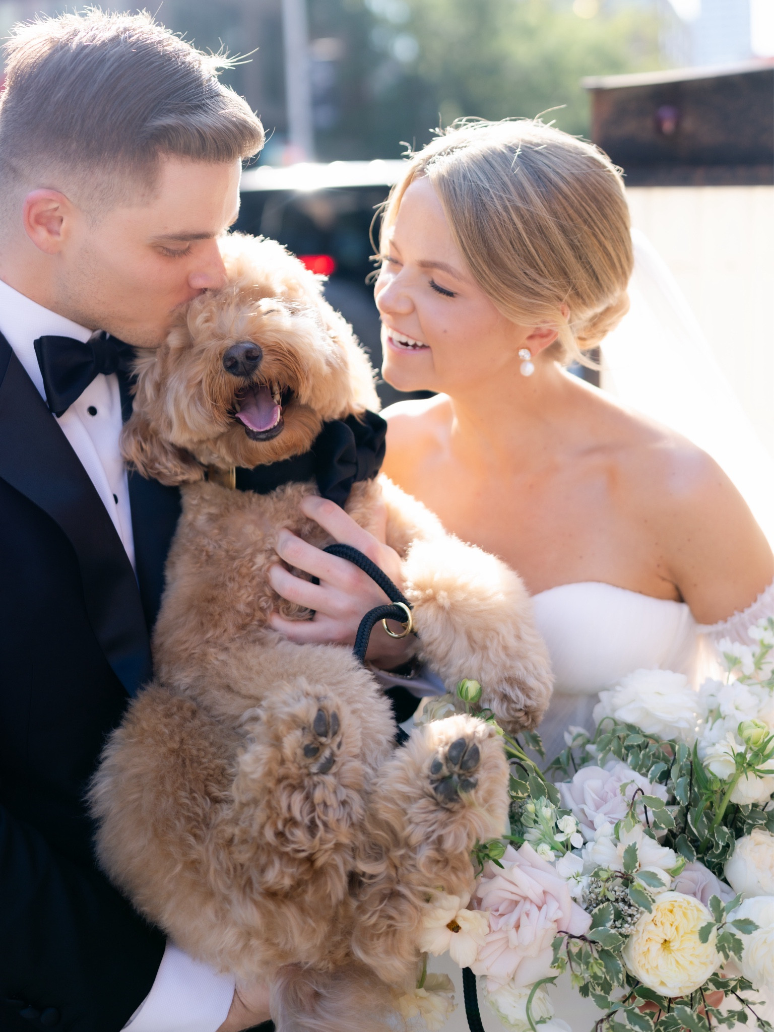 I wish I could link Brooks’ bow tie & leash but I can’t. Linking my bridal earrings here that have sold out multiple times on revolve #bride #wedding 

#LTKStyleTip #LTKWedding