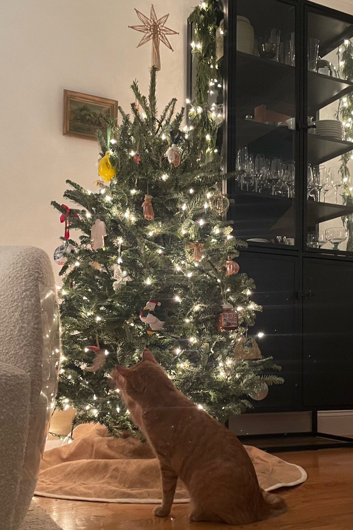 Decking the halls — Christmas wreaths and decorations 

#LTKCyberWeek #LTKHoliday #LTKSeasonal