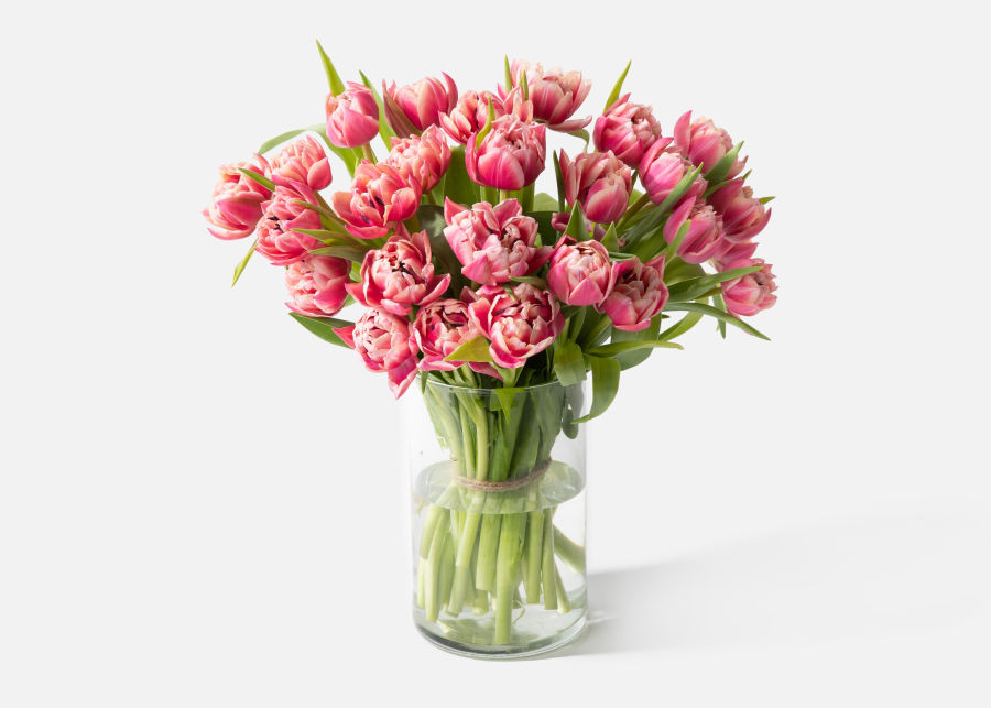 Double The Sweet Tulips | UrbanStems