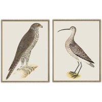 Wild Bird Print Wall Art Decor Large Set Of 2 Vintage Illustration No 3 | Etsy (US)