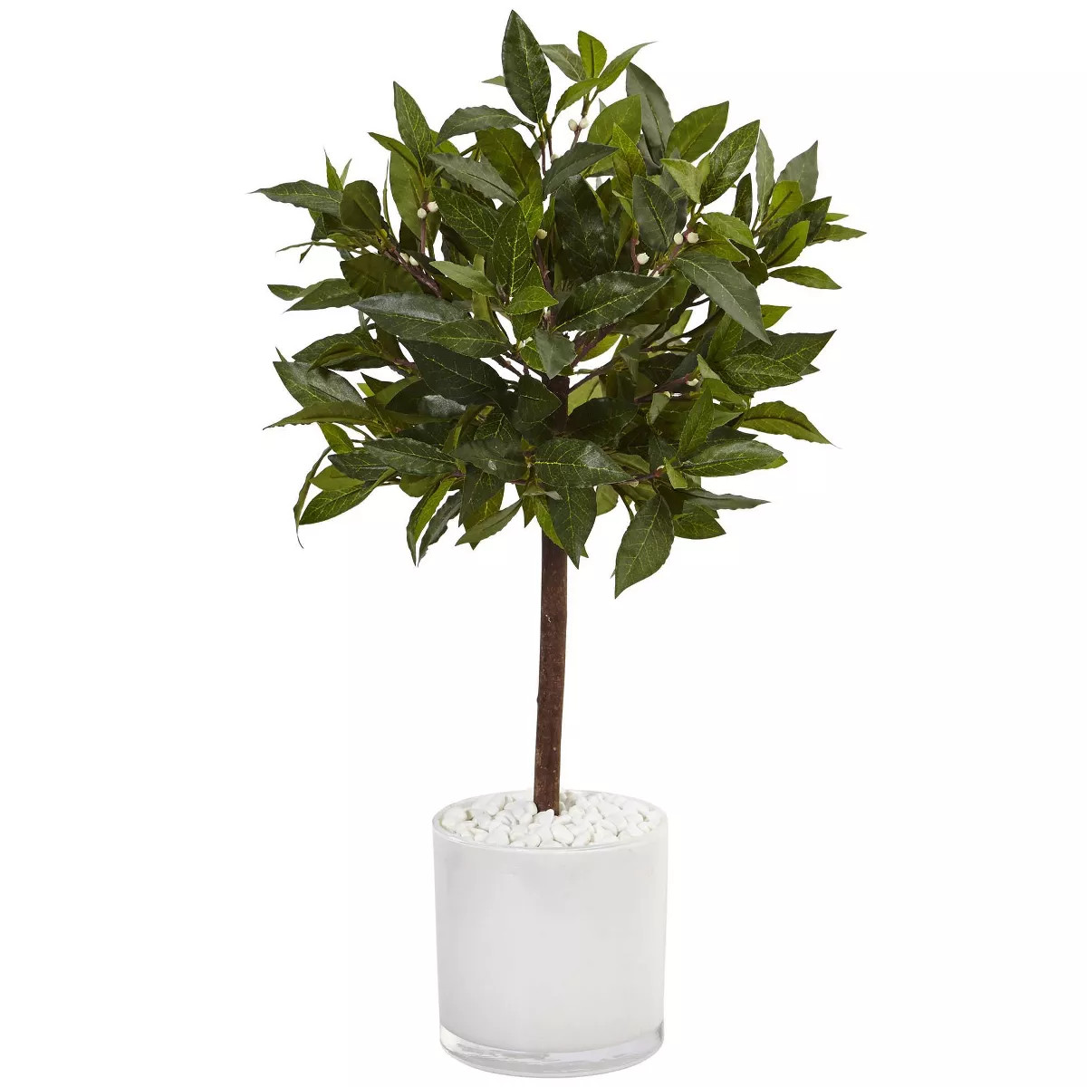 2ft Artificial Sweet Bay Tree in White Glossy Cylinder - Nearly Natural | Target