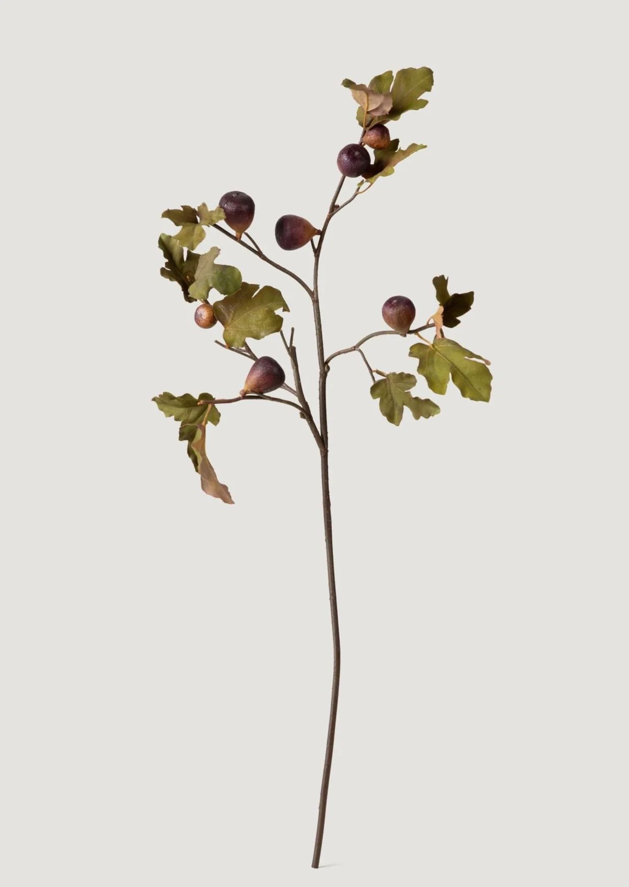 Dried Look Faux Fig Branch | Shop Botanicals at Afloral | Afloral