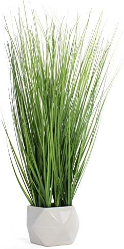 Bornbridge Artificial Grass Plant - Fake Plant in Planter - Faux Grass Plant with Ceramic Geometr... | Amazon (US)