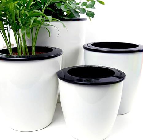 Mkono 3 Pack Self Watering Planter African Violet Pots Plastic White Flower Plant Pot with Wick R... | Amazon (US)