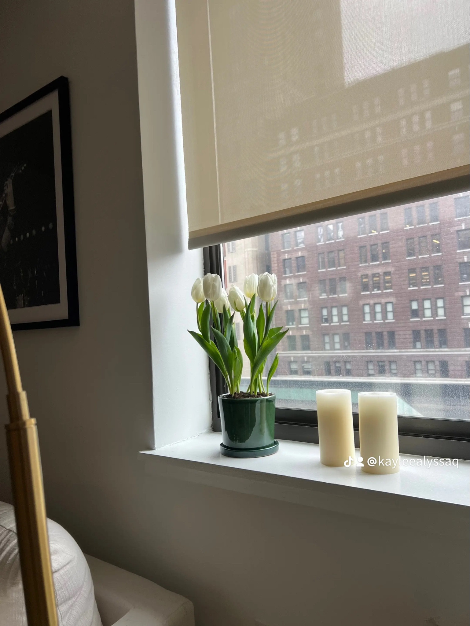 I’ve been obsessed with house plants lately but hate the little brown plastic pot they come in. I just recently bought this green one from h&m home and am in love! Super affordable as well🌷 

#LTKfindsunder50