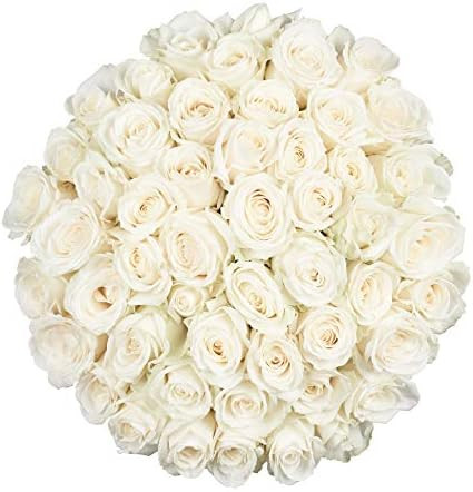 Flower Explosion White Roses - Farm Direct Delivery - 50 Fresh Cut Stems | Amazon (US)