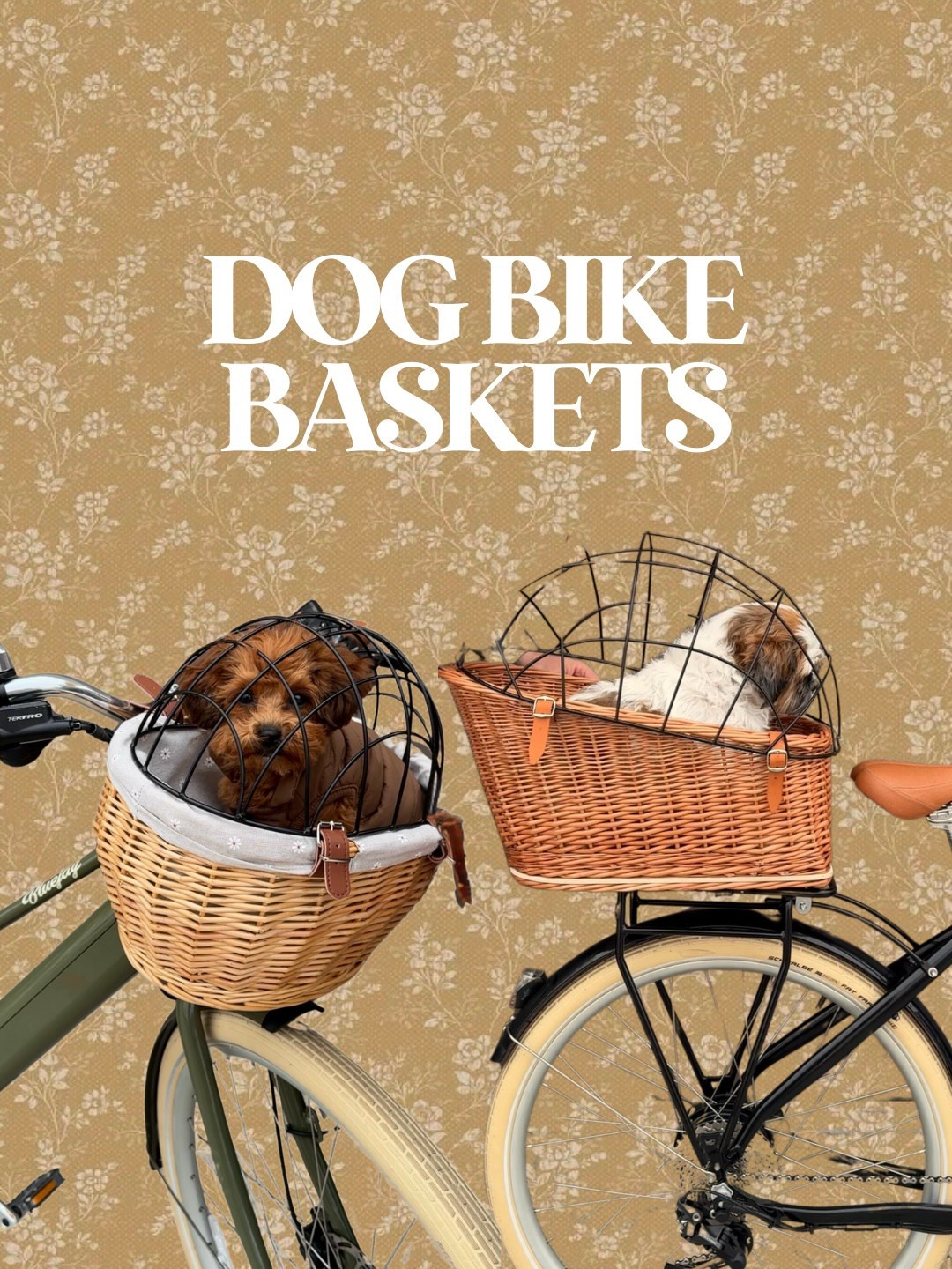 Our cutie dog bike baskets were such a hit with everyone who saw them! These are going to be perfect for summer bike rides, summer beach trips, etc!

#beachvibes #slowliving #beachlife #beachlifestyle #aesthetic #cozy #cozymorning #cozyvibes #bikebasket #bikebaskets #dogbikebasket #dogbikebaskets #petbikebasket #petbikebaskets #catbikebasket #catbikebaskets #bike #bikeessentials #petfind #petfinds

#LTKActive #LTKPets #LTKSeasonal