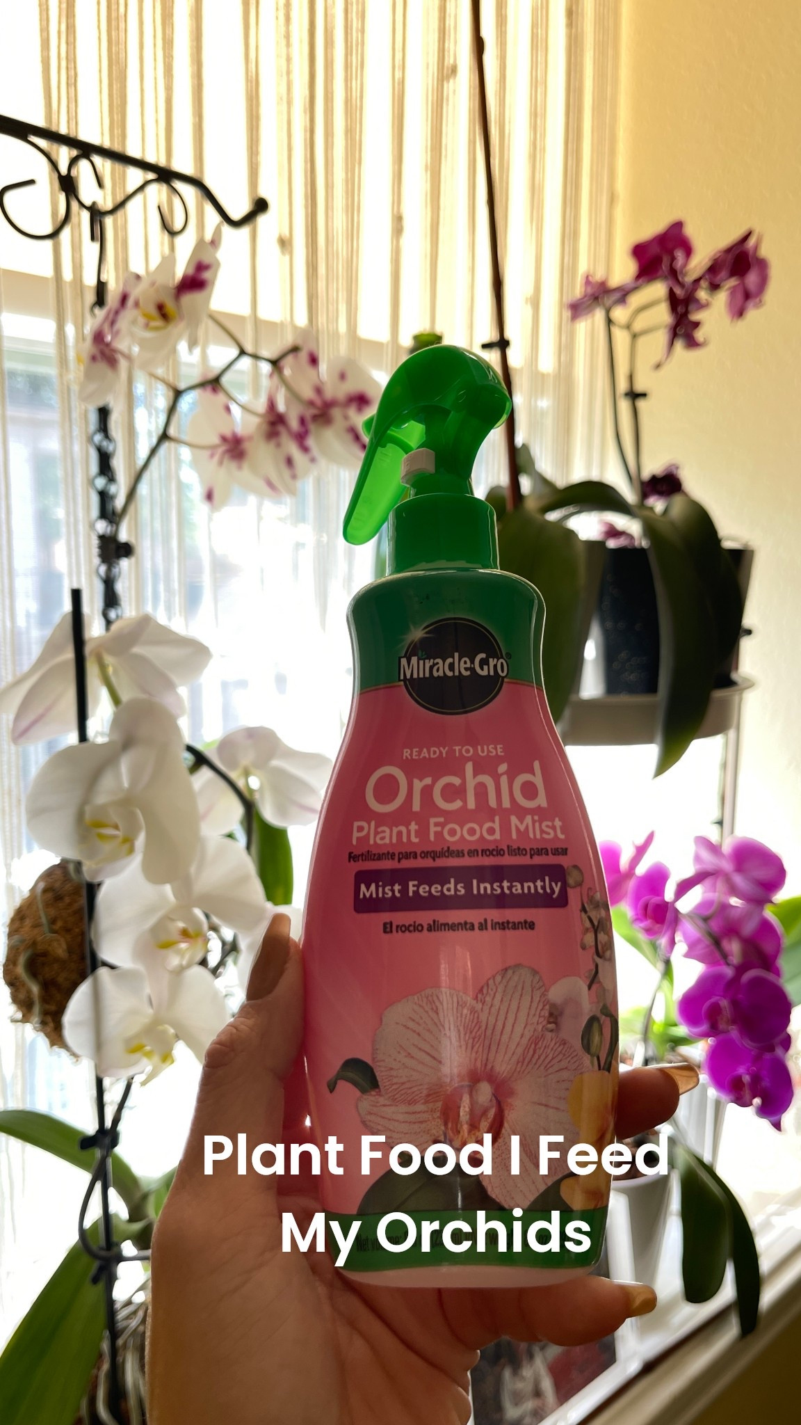 Orchid plant care essentials— plant food spray for orchids. bark potting mix for orchids and houseplant care supplies. 

The secret to houseplant care is thorough watering 🚿 allowing water to run through drainage holes and allow water to run out completely. Orchids love to be in pots with lots of holes for good air circulation.

#LTKHome
