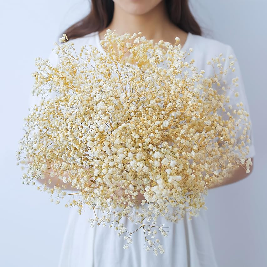 Dried Flowers Baby's Breath Bouquet - 1500+ Natural White Flowers, Gypsophila Branches for Wedding,  | Amazon (US)