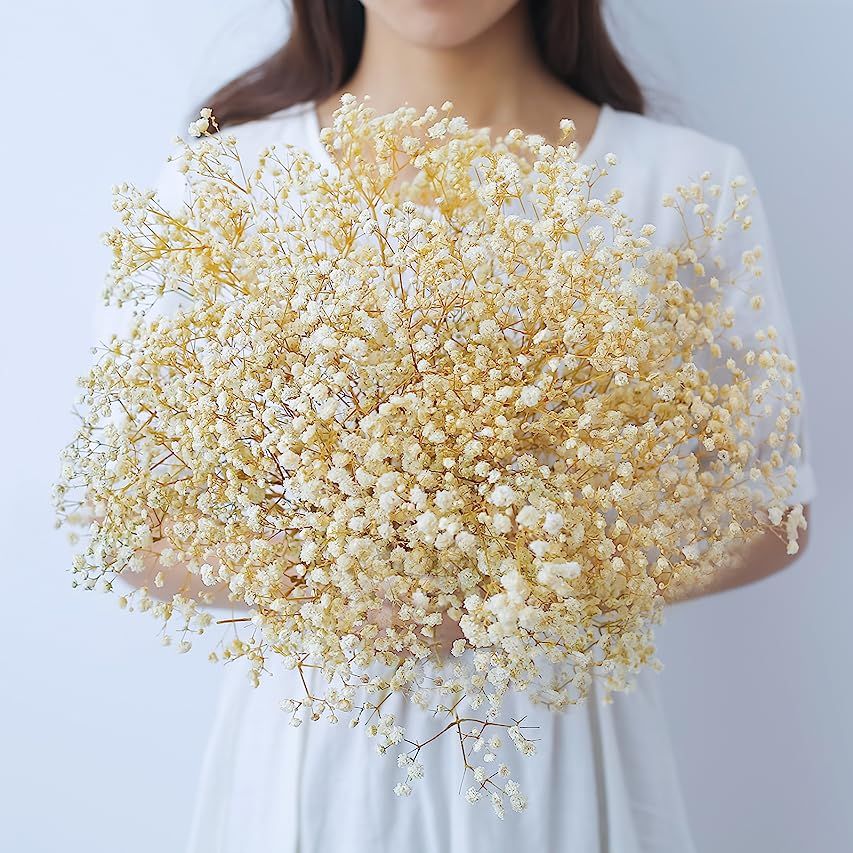 Dried Flowers Baby's Breath Bouquet - 1500+ Natural White Flowers, Gypsophila Branches for Wedding,  | Amazon (US)