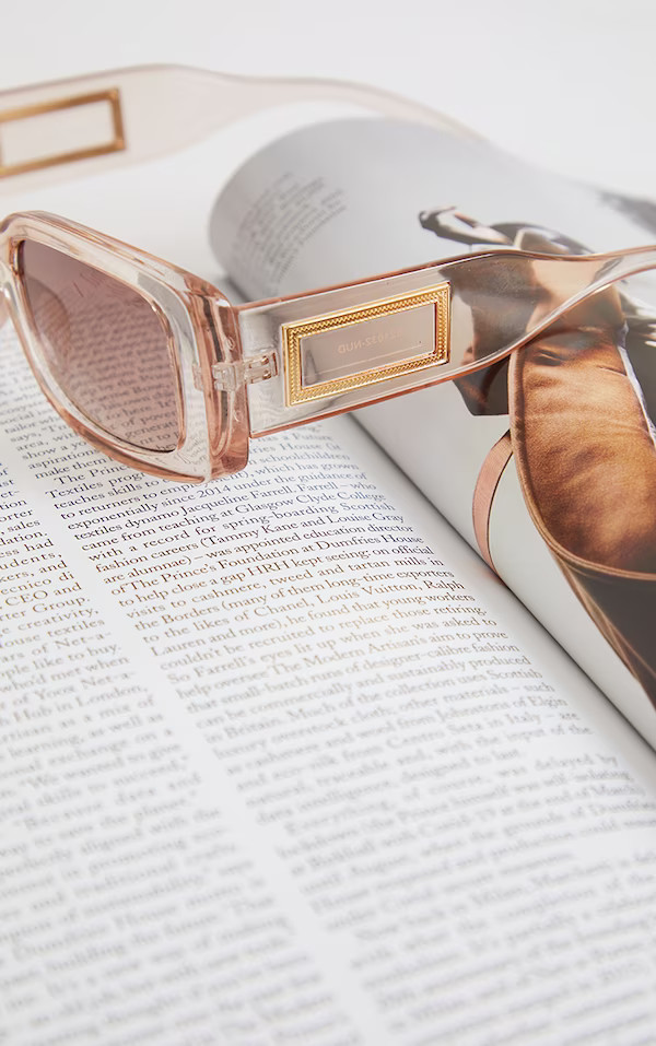 Clear Frame Brown Lens Chunky Square Sunglasses | Pretty Little Thing (Australia & New Zealand)