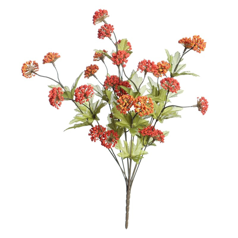 Orange Queen Anne's Lace Bush, 19" | At Home