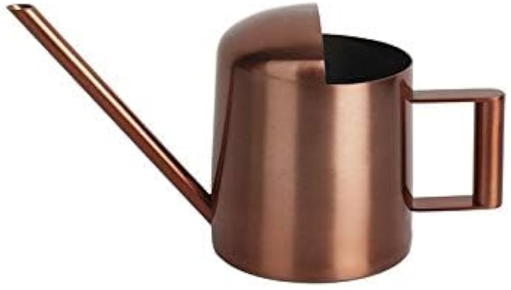 YISSSN Mini Watering Can, 10oz/300ml Stainless Steel Long Spout Small Watering Can for Indoor Pla... | Amazon (US)