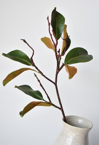 26" magnolia leaf branch | Michaels | Michaels Stores