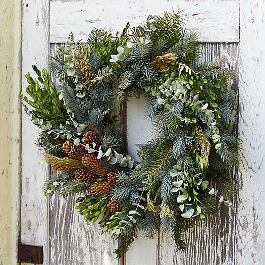 Fresh Fir + Cedar Pinecone Wreath | Terrain