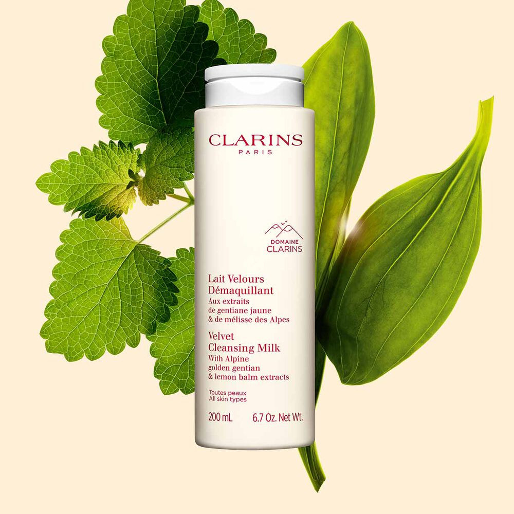 Velvet Facial Milk Cleanser | Clarins USA