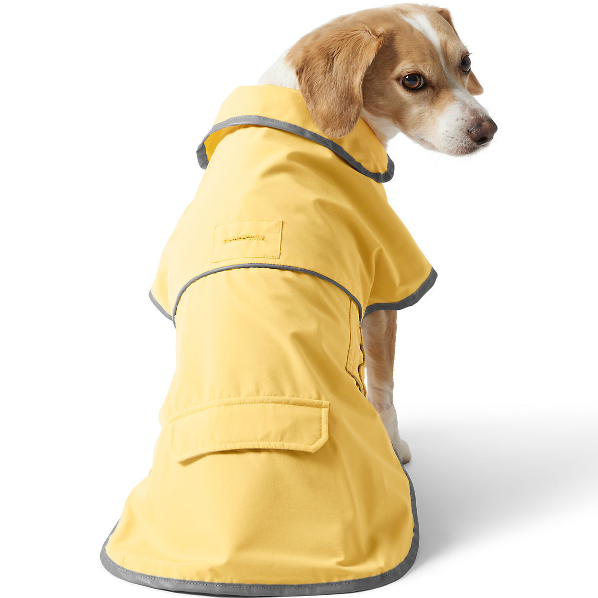 Dog Rain Jacket | Lands' End (US)