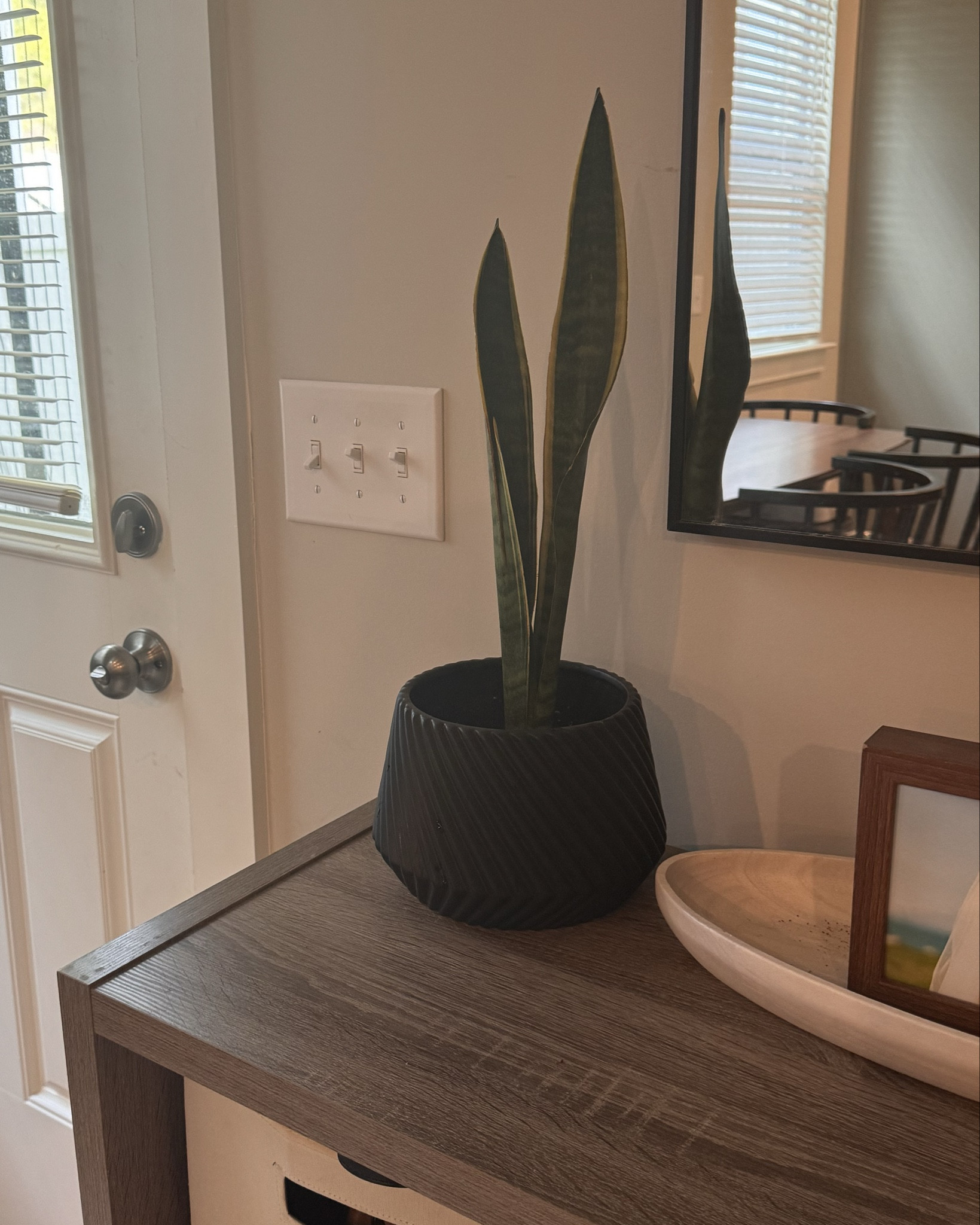 Planters, one under $10 and the other under $20

#LTKfindsunder50 #LTKhome