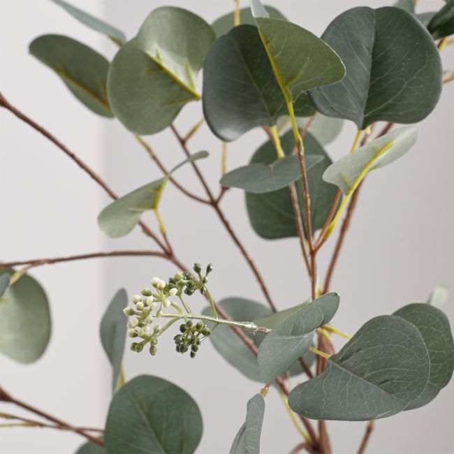 Artificial Silver Dollar Eucalyptus Stem | Crate & Barrel