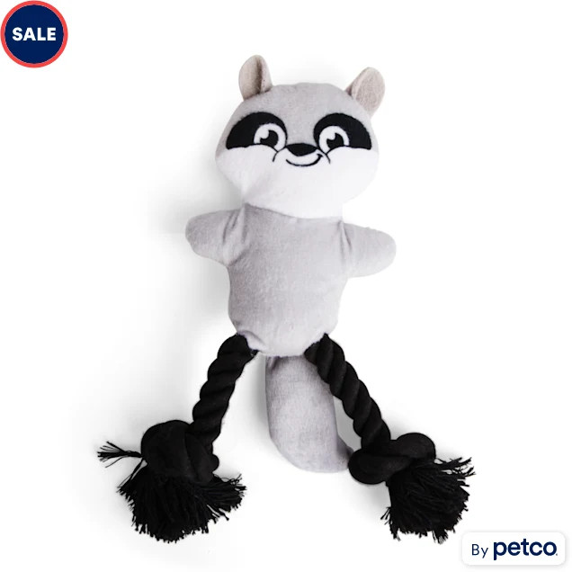 Petco Plush Racoon with Rope Dog Toy, Small | Petco