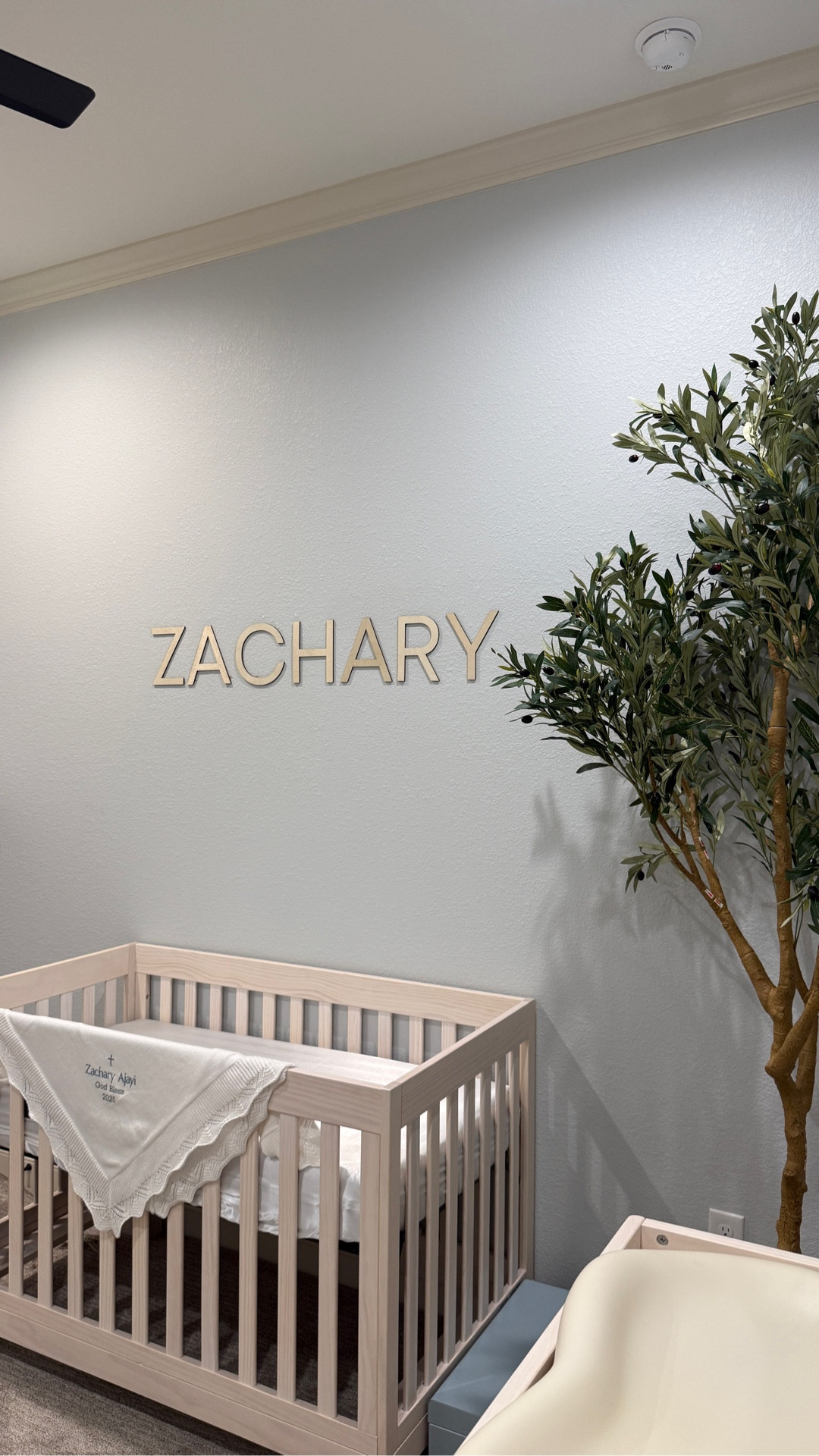 The theme is Serengeti Sky💙

#LTKHome #LTKKids #LTKBaby