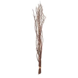 Natural Curly Willow by Ashland® | Michaels Stores