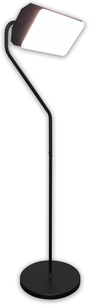 Northern Light Technologies Flamingo 10,000 Lux Bright Light Therapy Floor Lamp, Black, 4 Foot | Amazon (US)