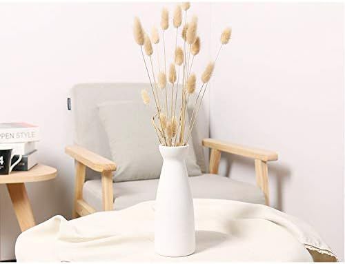 Classics Small Matte Finisher Ceramic Vases Use in Home Office Decor for Flowers, Pampas Grass & ... | Amazon (US)