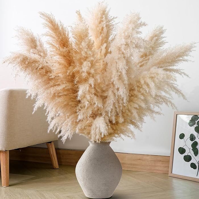 10 PCS 40" Tall Pampas Grass Stems in Natural Beige, Add a Boho Touch to Your Space\u2014Pompas G... | Amazon (US)