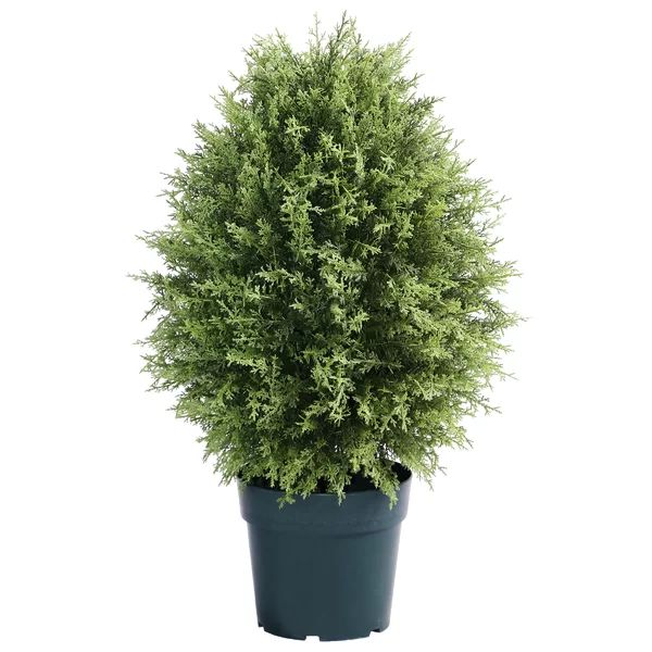 17.5" Artificial Cypress Plant in Pot | Wayfair North America