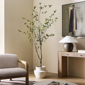 Faux Minimalist Citrus Potted Plant | West Elm (US)