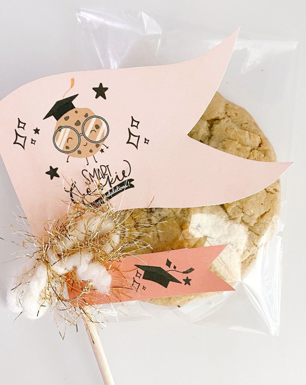 Graduation and End of School Year Printable Flags & Tags

The Letter Vee / One Smart Cookie / Grad Gift / cookie tag 

#LTKKids #LTKParties #LTKSeasonal