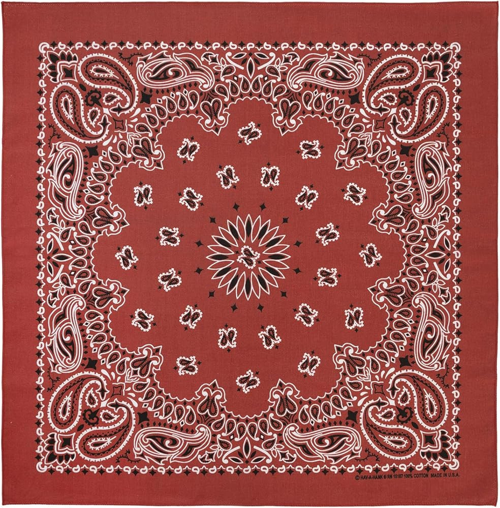 100% Cotton Western Paisley Bandanas (22 inch x 22 inch) Made in USA | Amazon (US)
