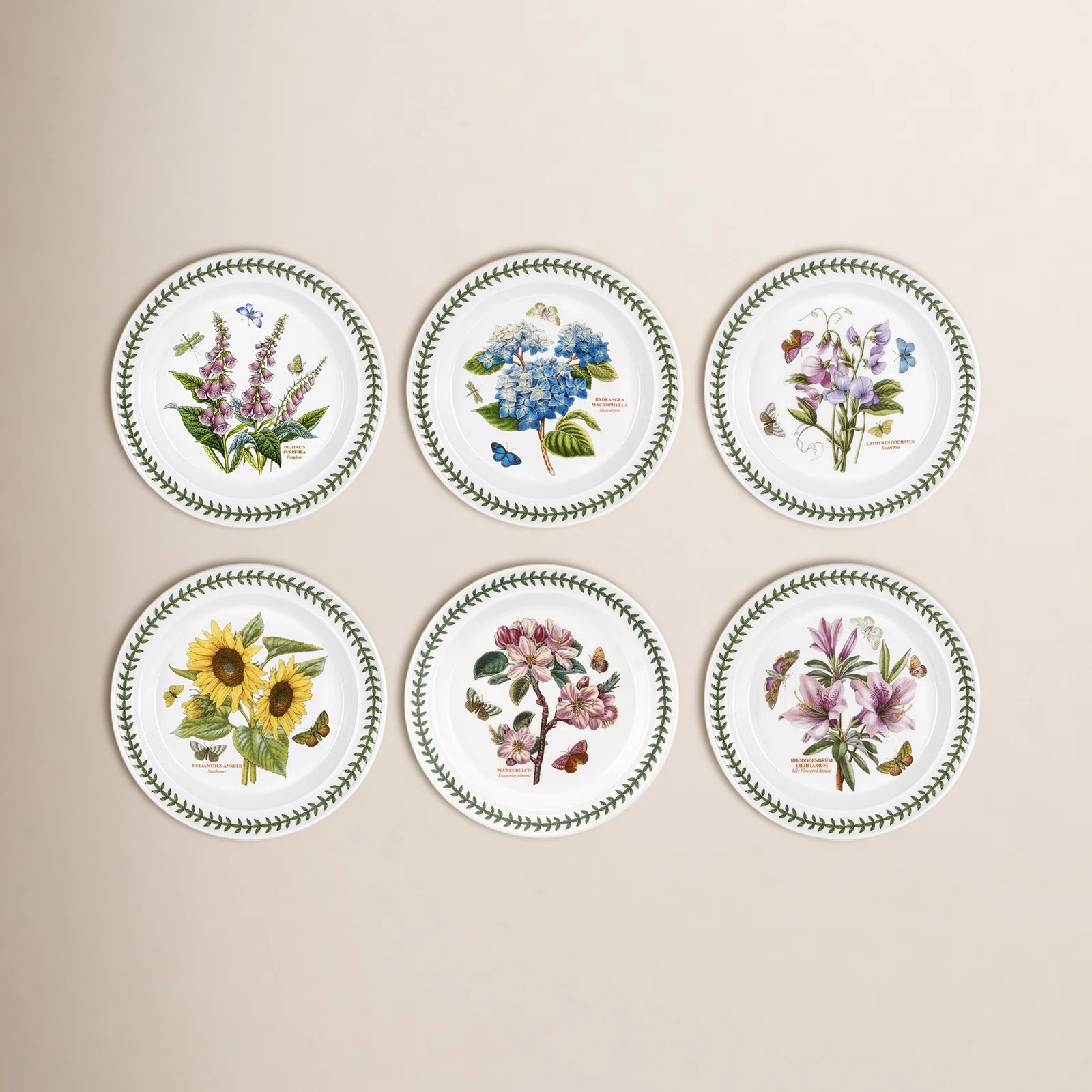 Portmeirion Botanic Garden Dinner Plate (Set of 6) | Birch Lane