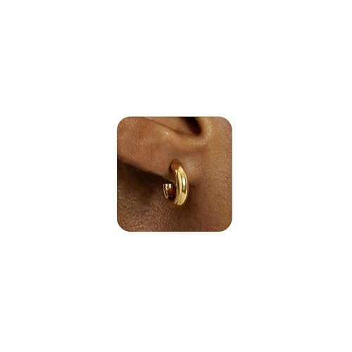 HEVOCY Chunky Gold Hoop Earrings for Women: Hypoallergenic 14K Gold Plated Thick Open Hoops Lightweight Small Chubby Hoop Earrings Trendy Minimalist Gold Jewelry for Women 20MM | Amazon (US)